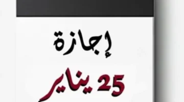 أجر مضاعف.. هل يحصل موظفو القطاع الخاص على تعويض مالي مقابل إجازة 25 يناير؟
